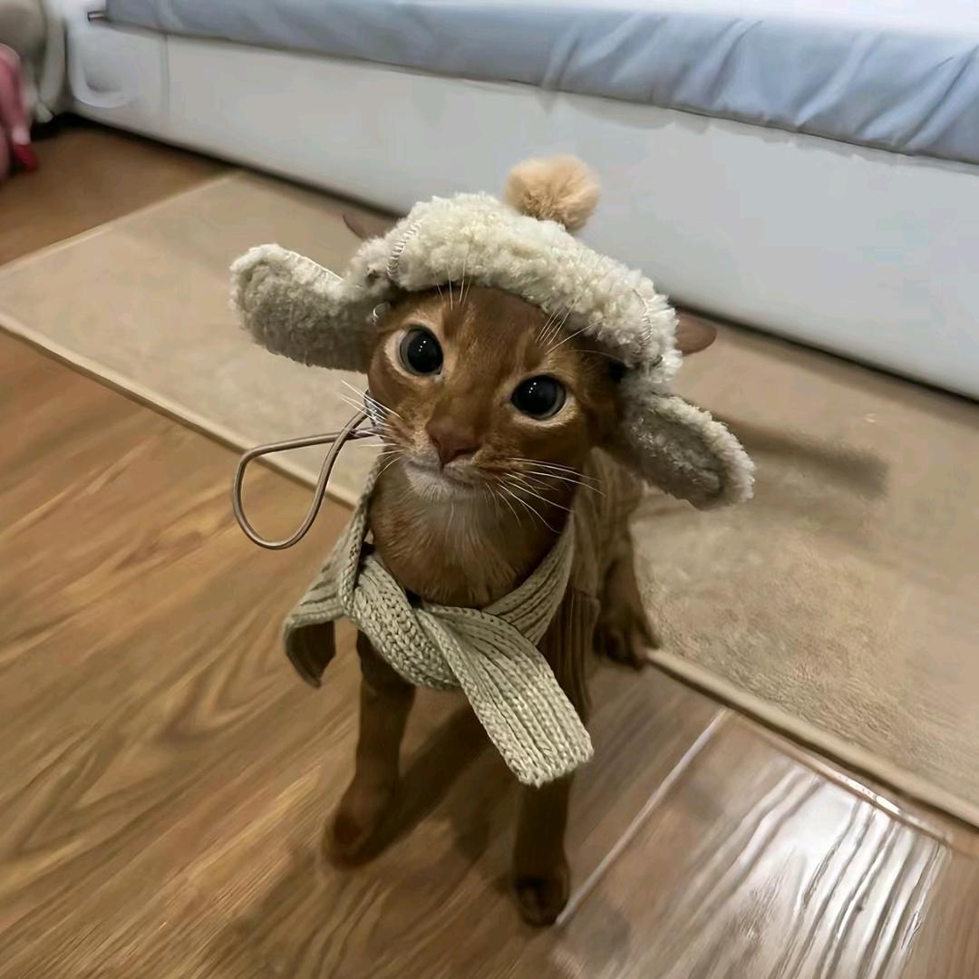 不是什么正经人