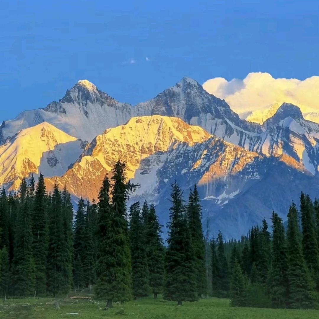 金山银山有靠山