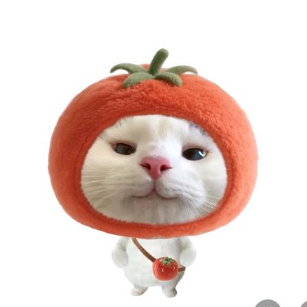 你算哪块小饼干