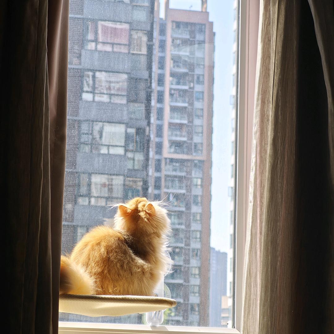 七七