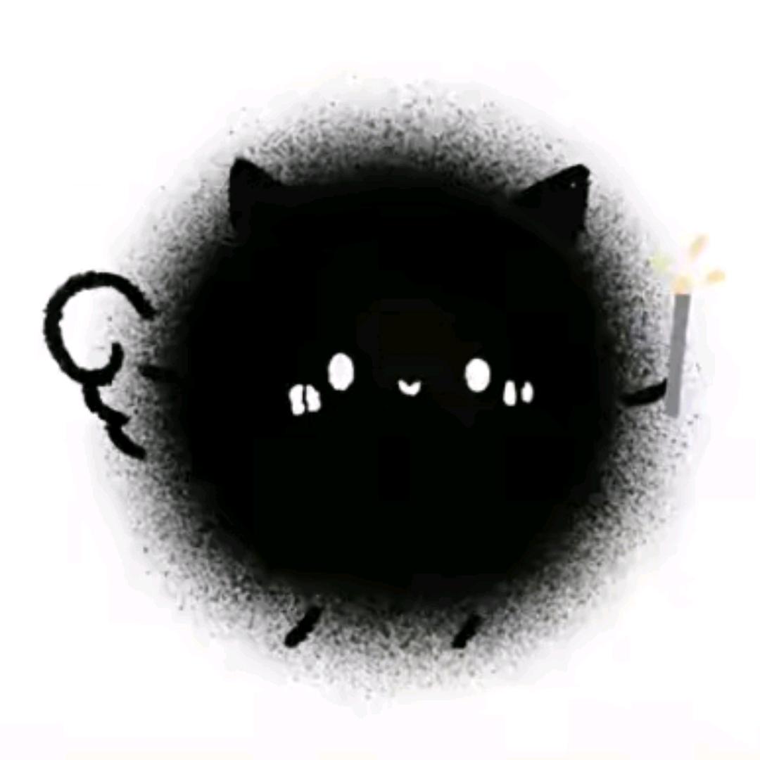 可爱小猫🐱