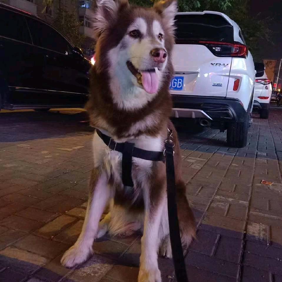 天堂1 이선생