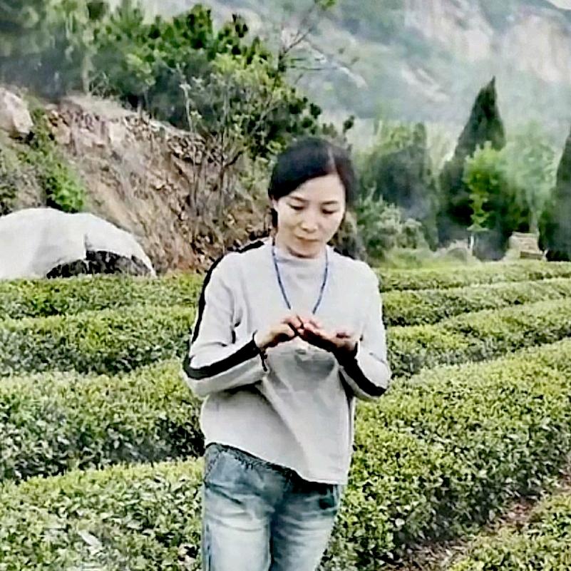 张店王舍茶城茗益茶行