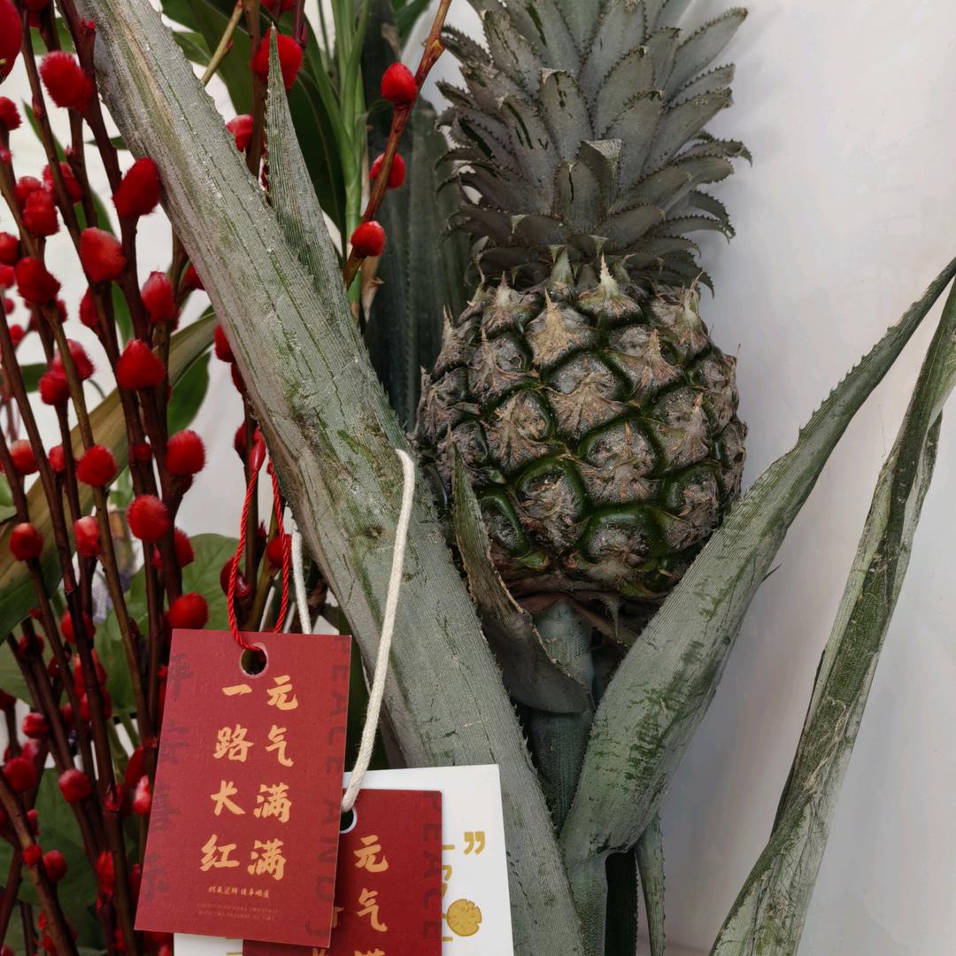睿智好物精选