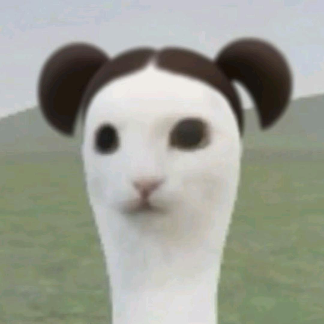 ...........