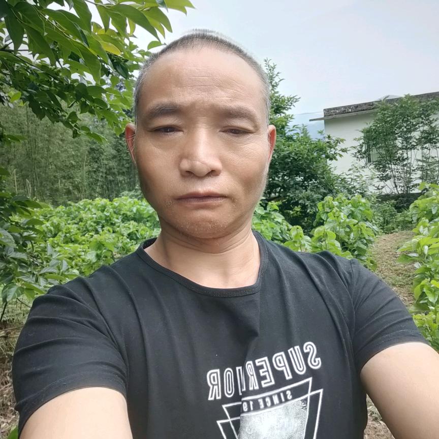 罗哥早上7点20芬开播大号