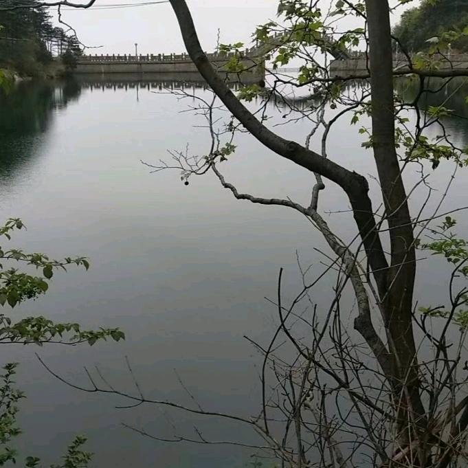 扯谈