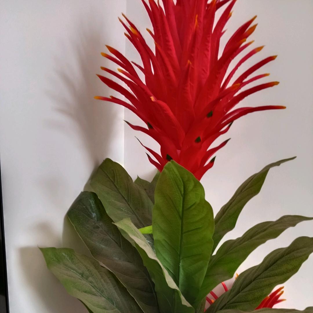 和睦相处