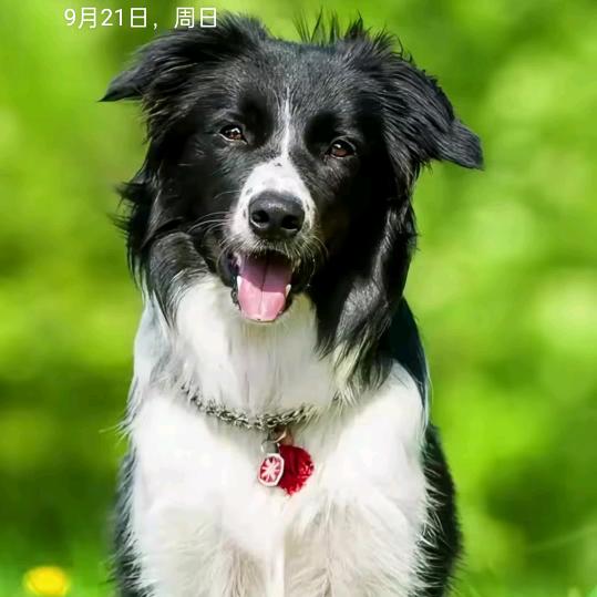 东辰遇到6