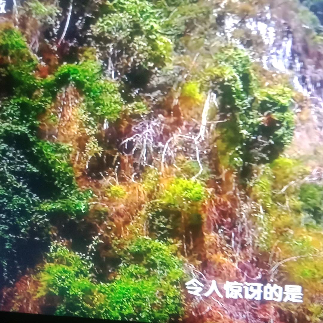 过好每一天