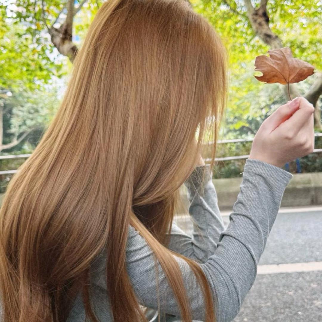 误把栾花当桂花