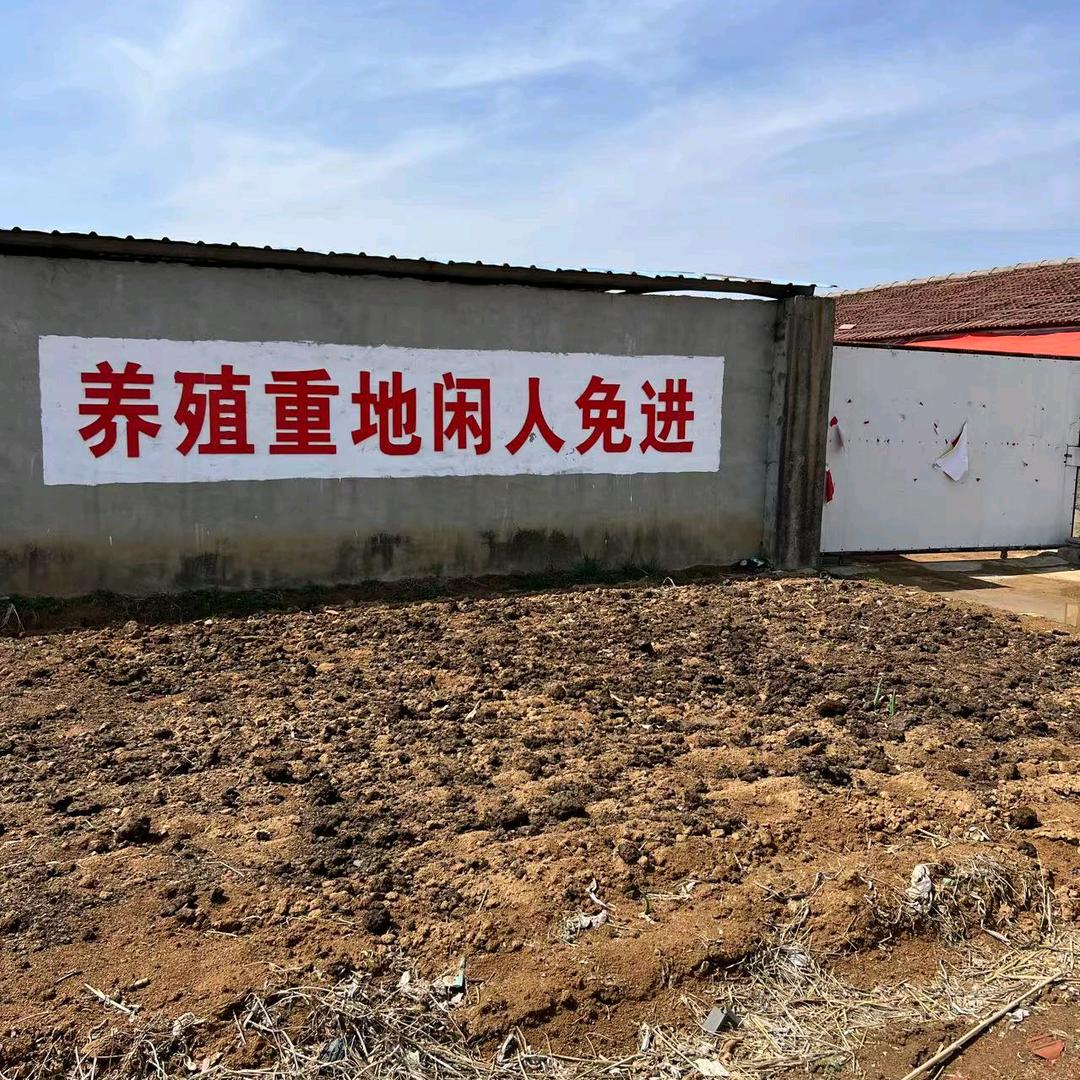 老崔仔猪养殖