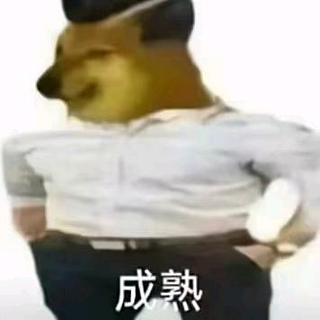 风弋弋