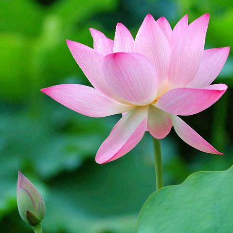 咏晴姓名咨询《H》