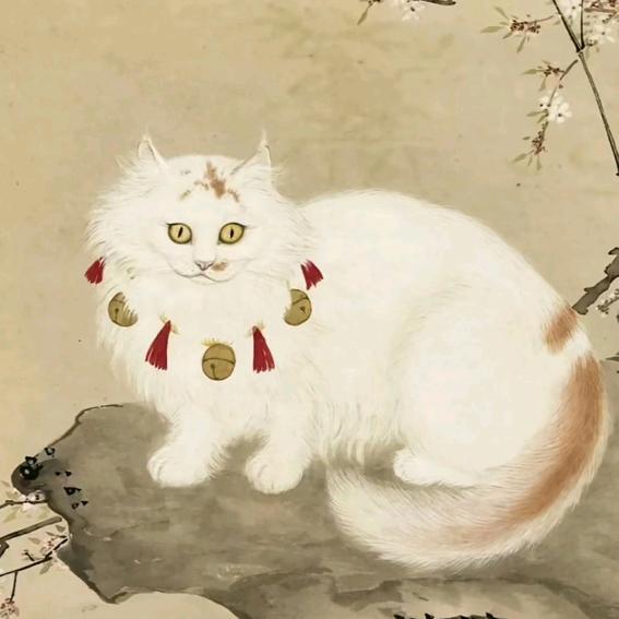 平淡的生活