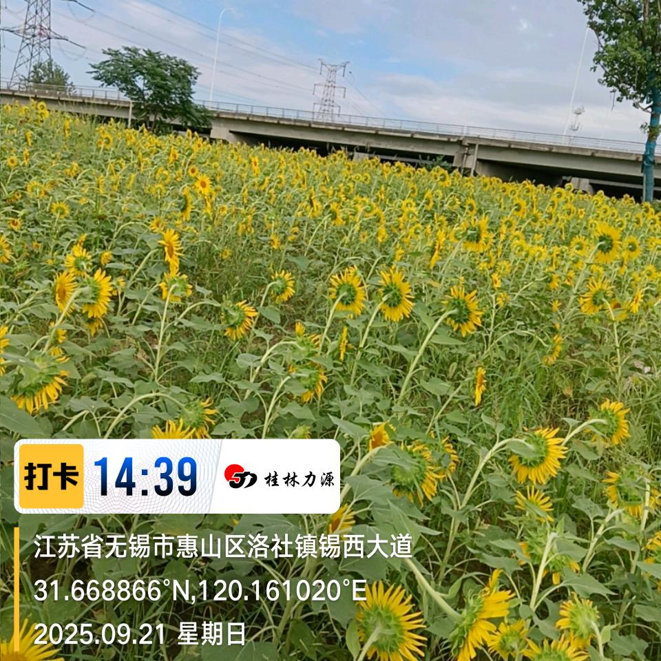 谢远荣，万事如意