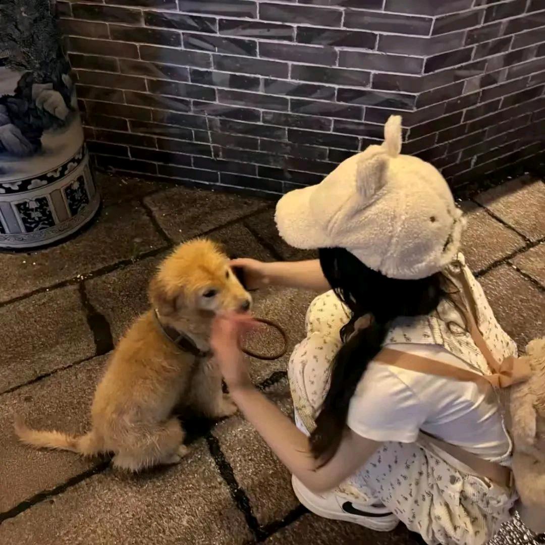 梨花啵啵曲奇