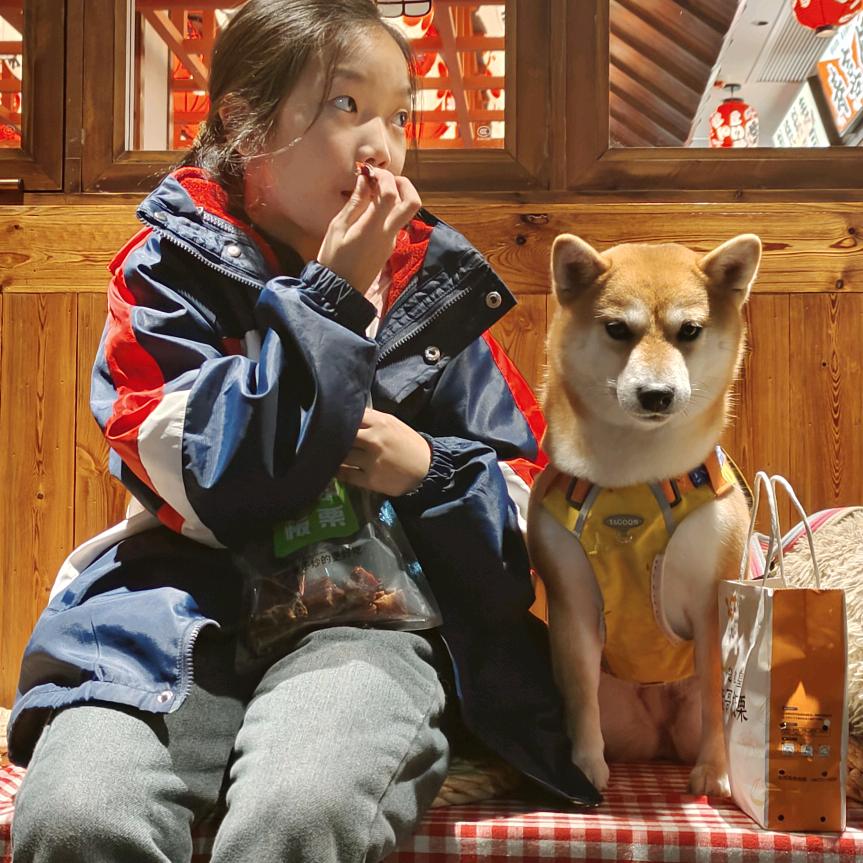 麻辣毛蛋儿的日常