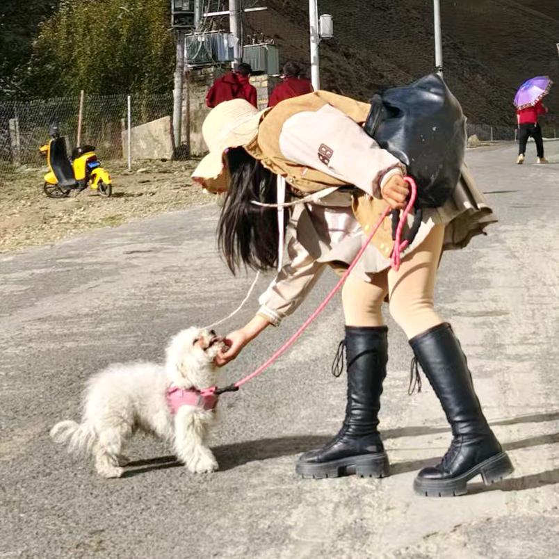 飒嘻嘻哈