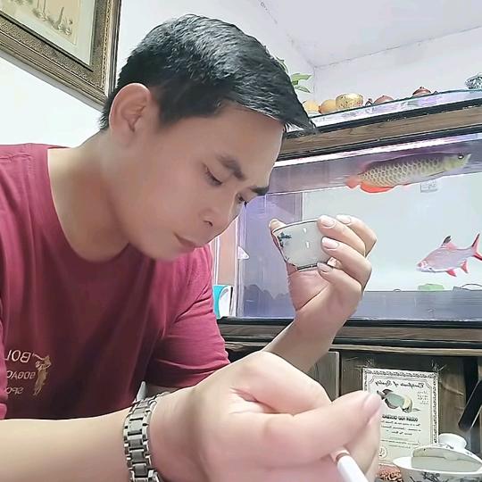 @强哥198283@