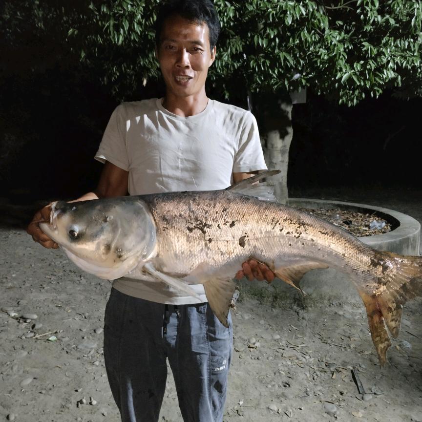 🎣渡星河