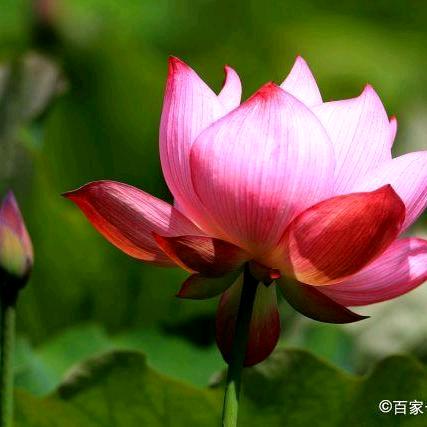 渴💓💘望❣️💝爱💖💕情