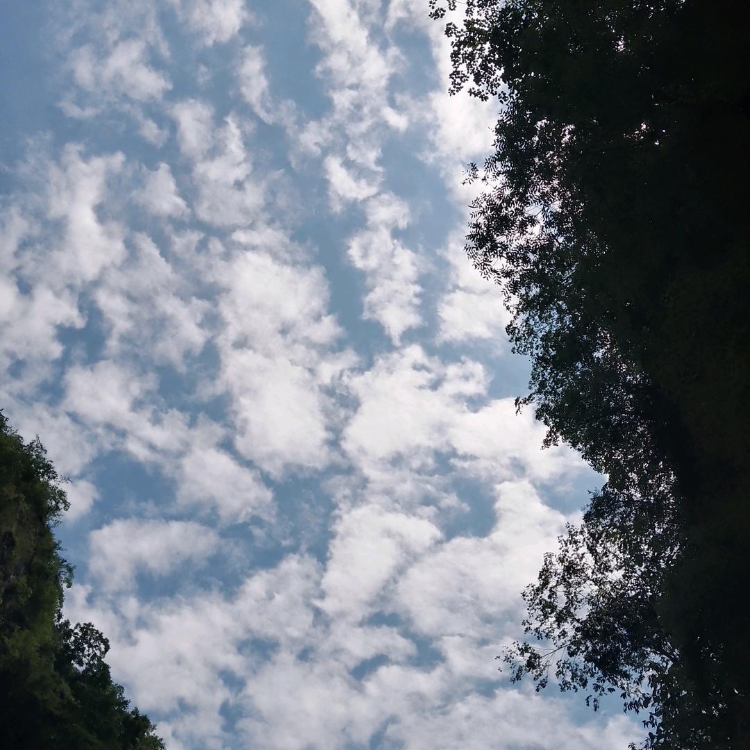 轻描淡许