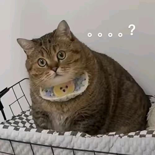 土豆坨坨成精了