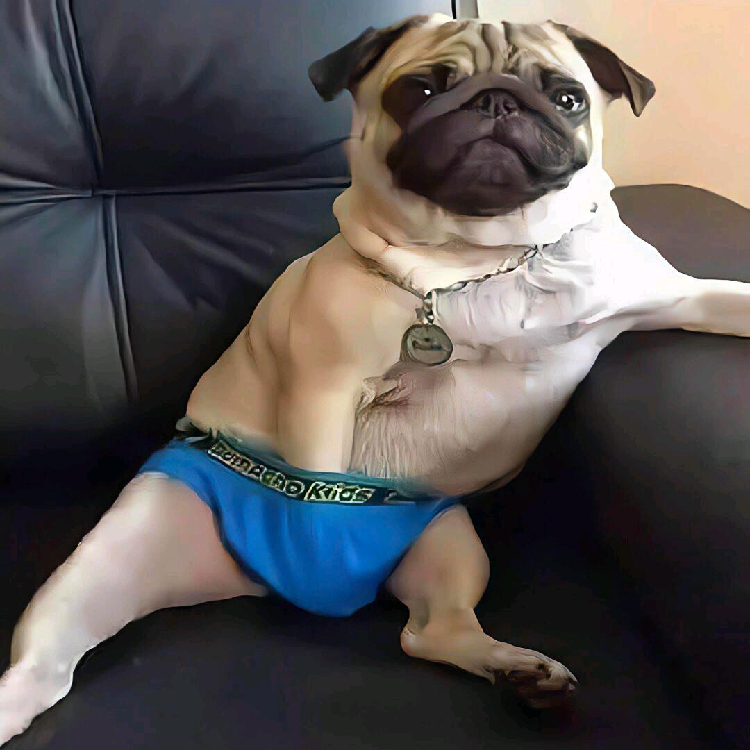 飞车亦宸