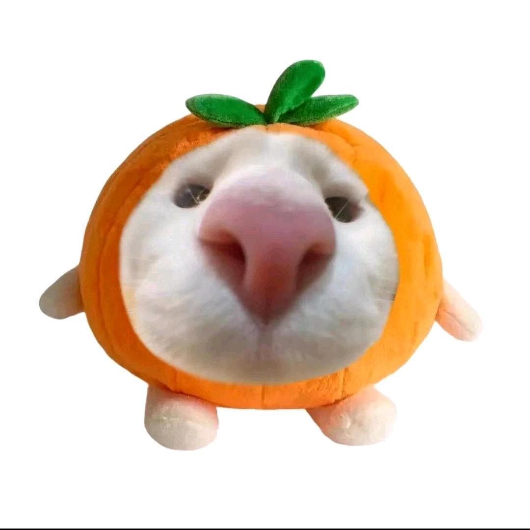 每日一笑