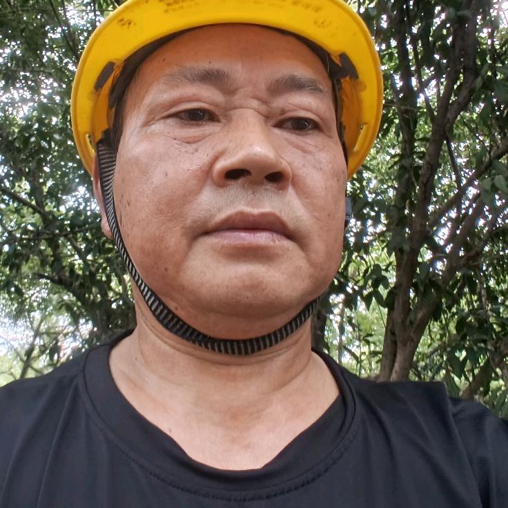 晨泽一南（晚6直9点播）