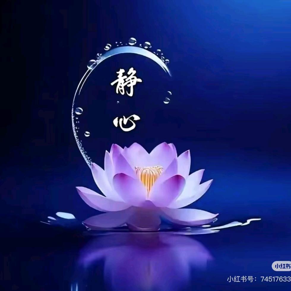 佛缘（夫妻堂2）