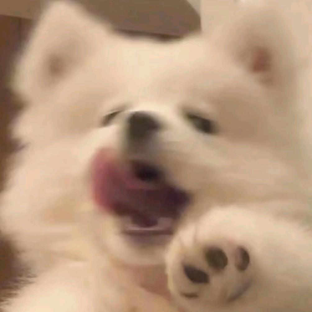 糊糊