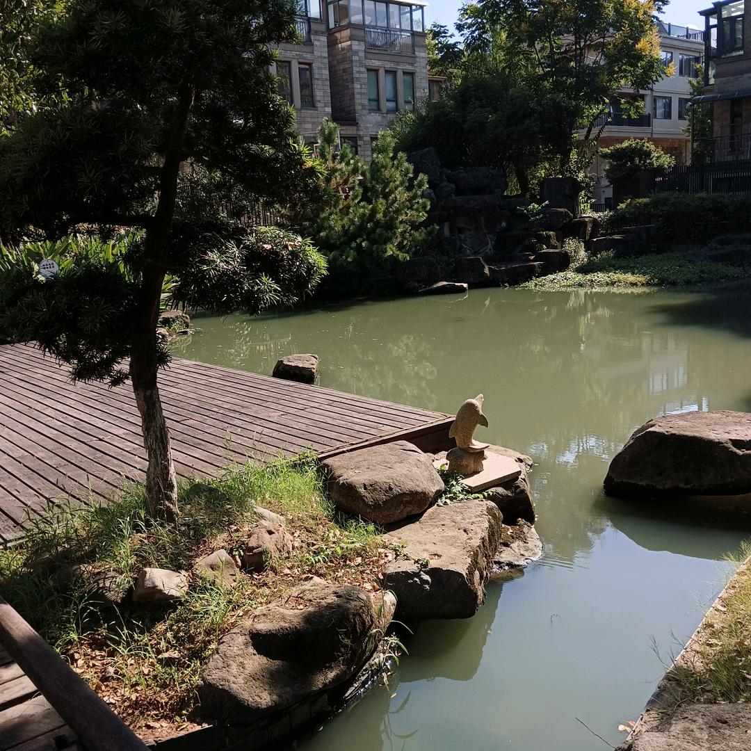 @知足常乐🐋🌸🌸🌸🌸🌸🌸