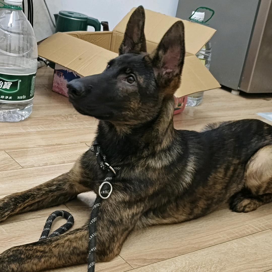 八台金台球俱乐部