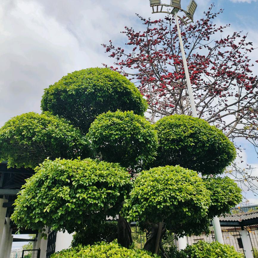 😜😜微笑人生😜😜