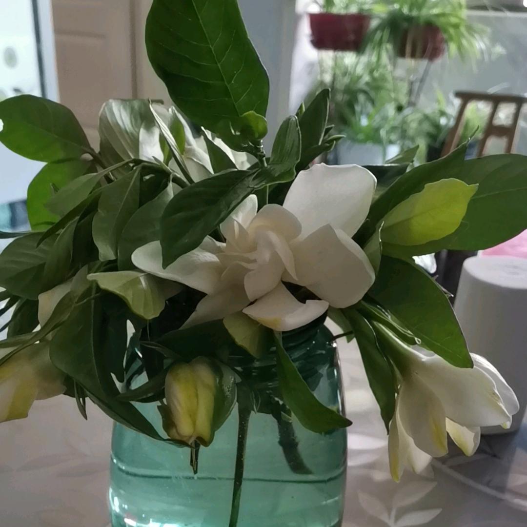 楷妈的平淡生活