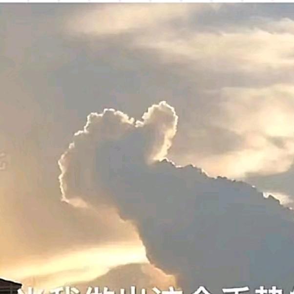 大体老师说大体