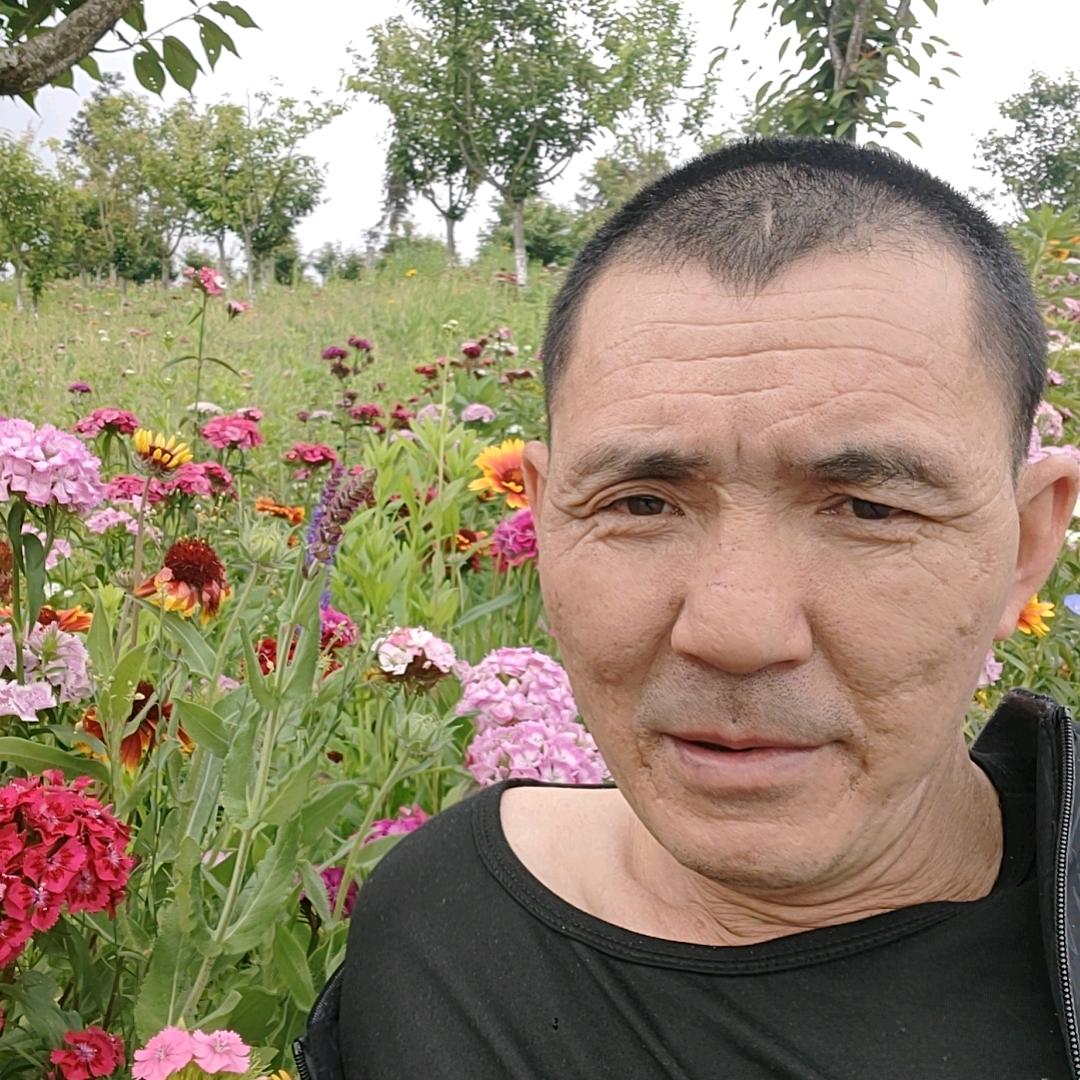 小布