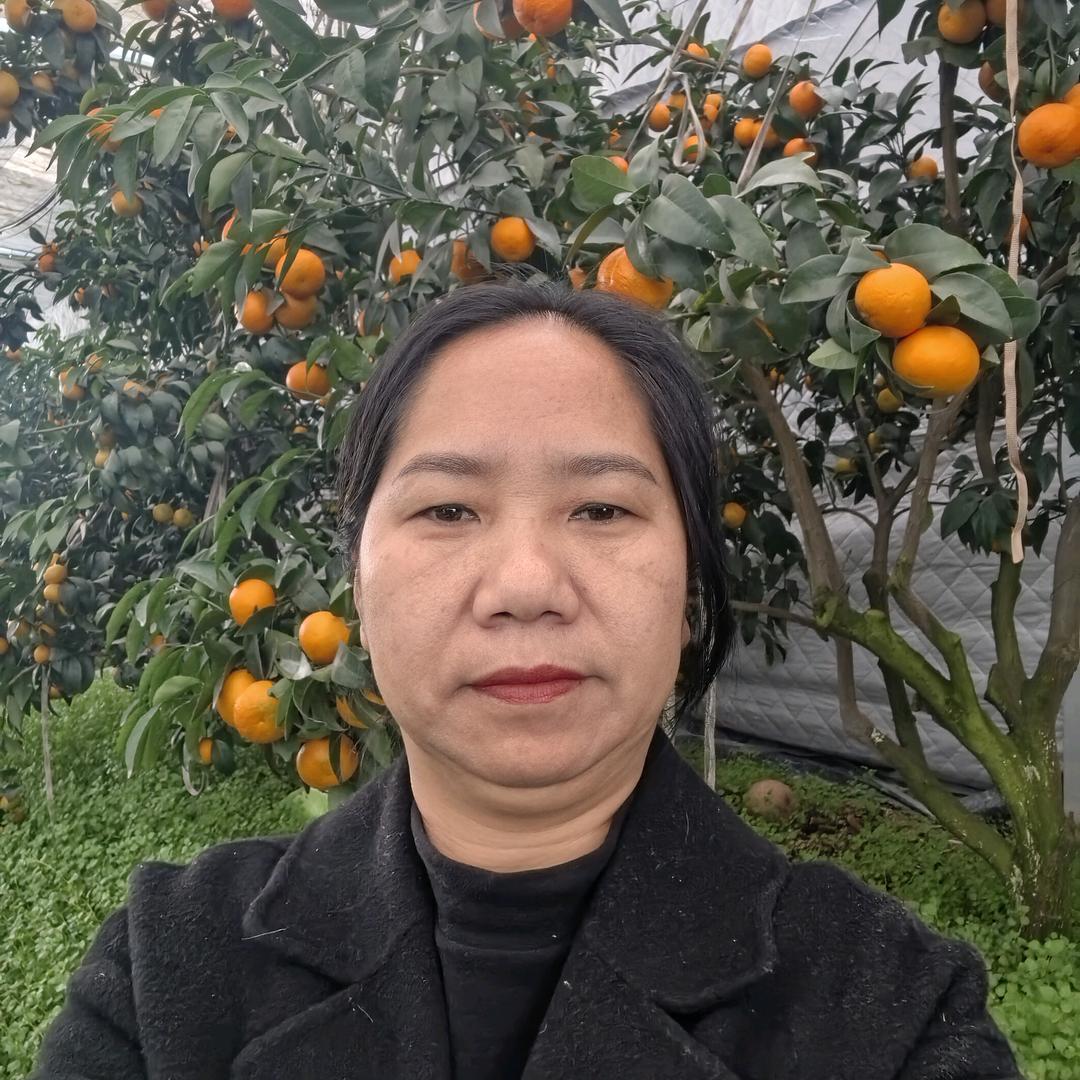 桔子姐早7.10首播