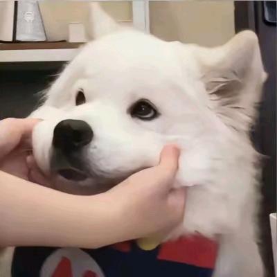 嗨皮呀