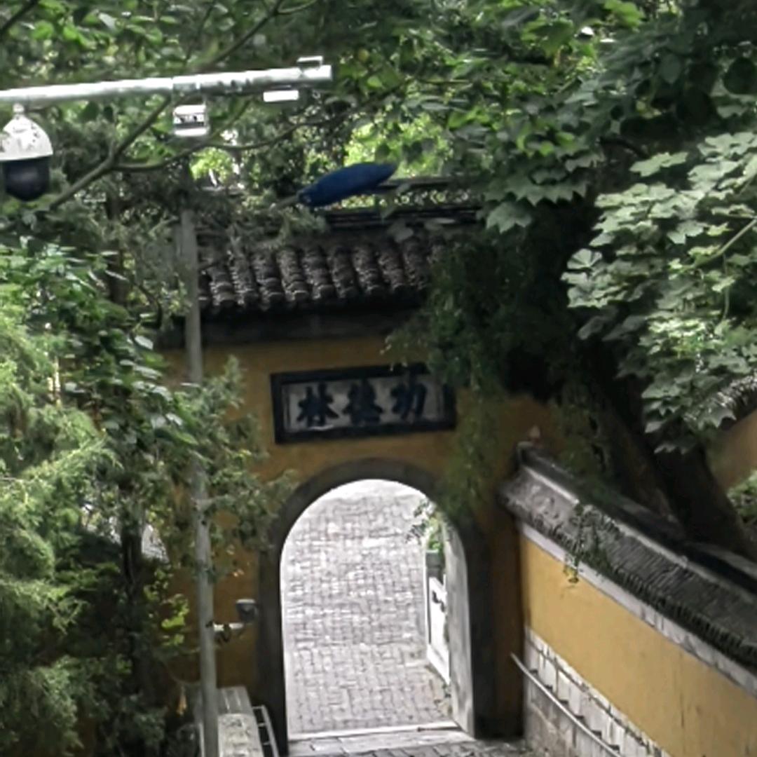 光明