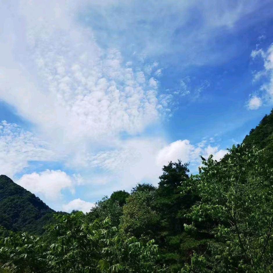 足健远行