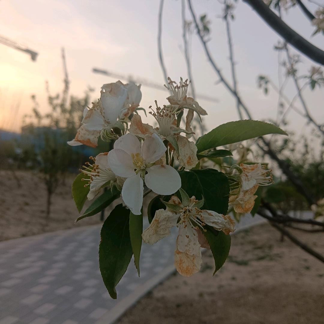 开心