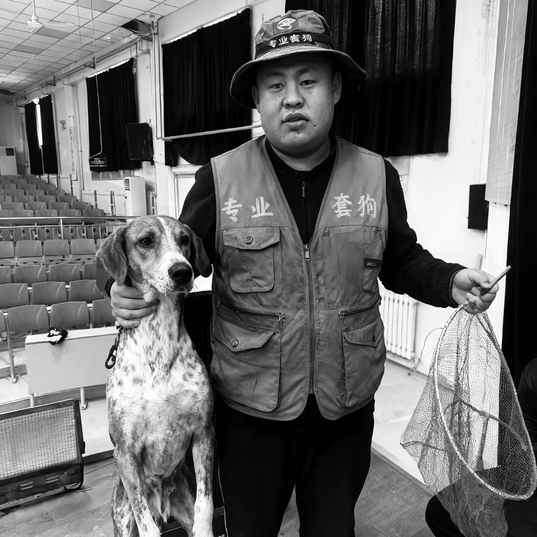 AAA四川专业套狗师傅（全国可套）