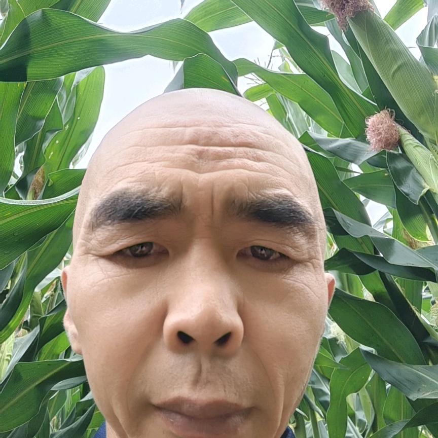 单亲爸爸