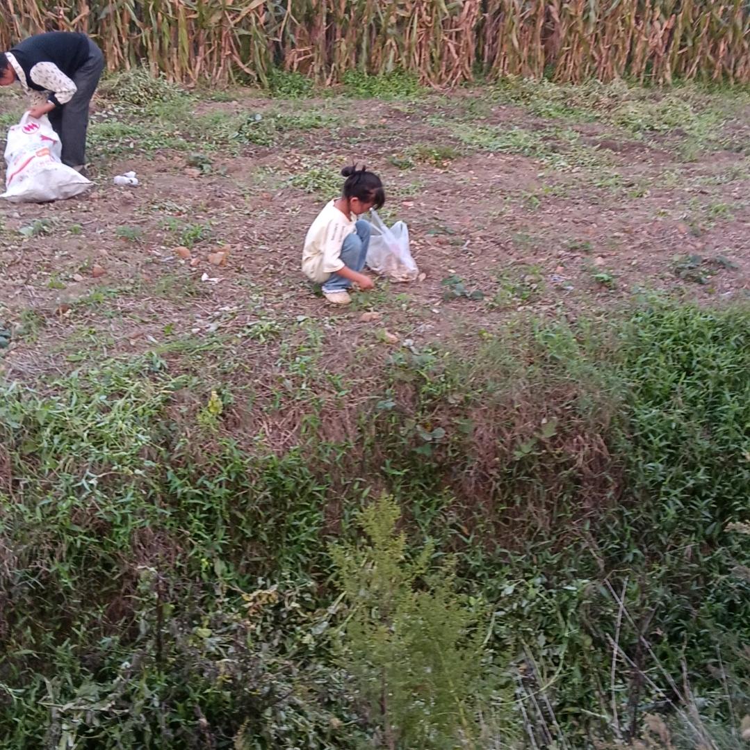 快快乐乐每一天