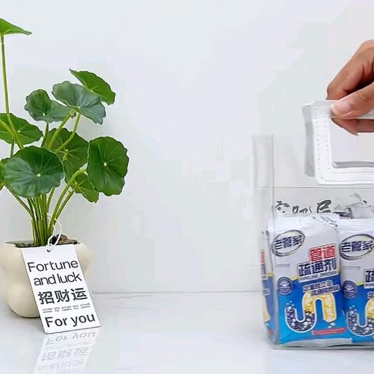 梦莉