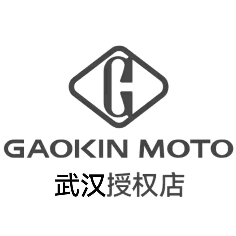 GAOKIN MOTO高金动力-武汉店
