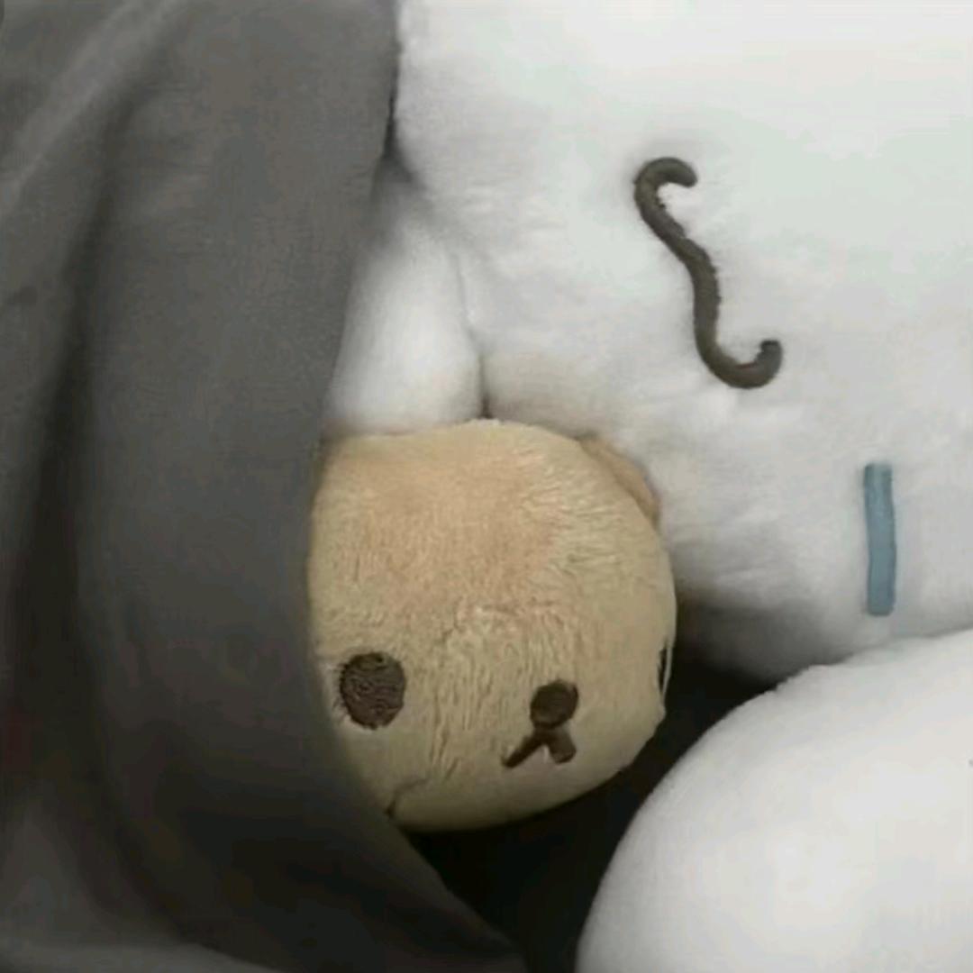 茶油鸭🧊